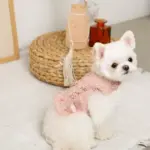 コットンレースフリルハーネス+リードSET【名入れ刺繍対応】