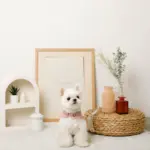 コットンレースフリルハーネス+リードSET【名入れ刺繍対応】