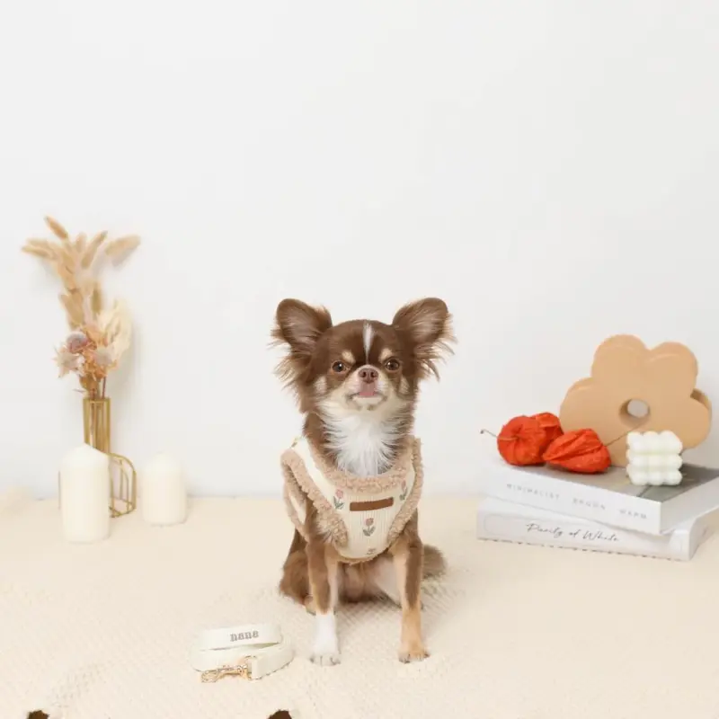 ボアチューリップ刺繍ハーネス+リードSET【名入れ刺繍対応】