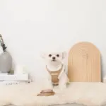 ニットボアハーネス+リードSET【名入れ刺繍対応】