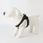 ニットボアハーネス+リードSET【名入れ刺繍対応】