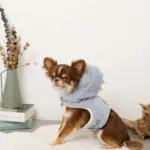 恐竜さんボアフードハーネス