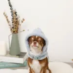 恐竜さんボアフードハーネス