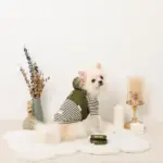 フード付きキルティングダウンライクハーネス+リードSET【名入れ刺繍対応】