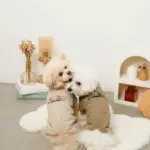 星柄キルティングロンパースハーネス