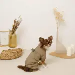 星柄キルティングロンパースハーネス