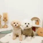 星柄キルティングロンパースハーネス