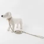 アニマル柄カラー＋リードSET【名入れ彫刻対応】