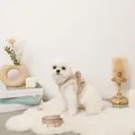 木馬刺繍入りコーデュロイボアハーネス+リードSET【名入れ刺繍対応】