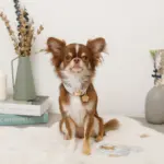 ギンガムチェックいちごフラワーチャームカラー+リードSET【名入れ彫刻対応】