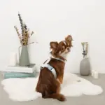 ギンガムチェックいちごハーネス