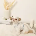 ギンガムチェックいちごハーネス