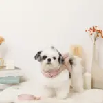 ビッグリボンファーハーネス+リードSET【名入れ刺繍対応】