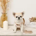 くまさん刺繍ボアハーネス+リードSET【名入れ刺繍対応】