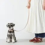 オーストレザーリード