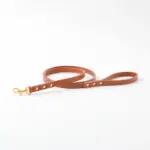 オーストレザーリード