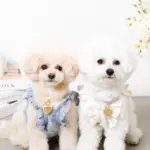 ハートチャームレザーカラー【名入れ彫刻対応】