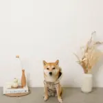 耳付きフードボアハーネス