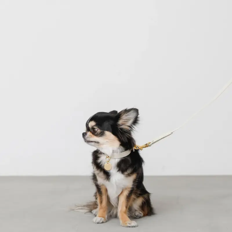 サークルチャームレザーカラー【名入れ彫刻対応】