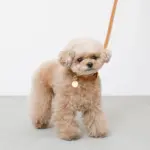 サークルチャームレザーカラー【名入れ彫刻対応】