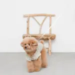 ウォーキングロングリード 5m