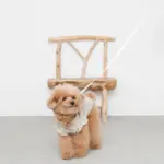 ウォーキングロングリード 5m