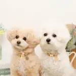 ミックスカラー反射カラー【名入れ彫刻対応】