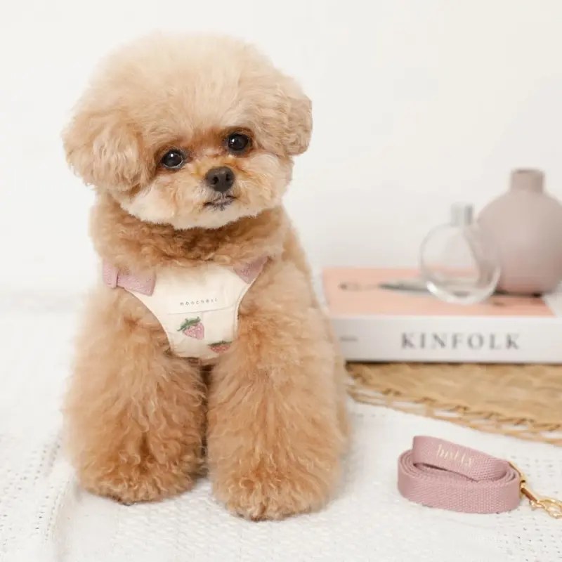 冷感いちご柄ハーネス+リードSET【名入れ刺繍対応】