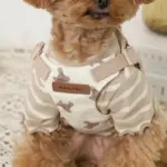 くまさんハーネス