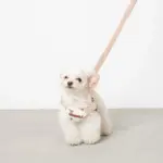 くまさんハーネス