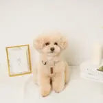 レザー×リネンハーネス