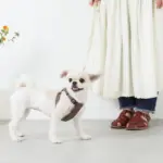 レザー×リネンハーネス