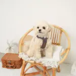 レザー×リネンハーネス