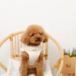 ショルダーフリルハーネス＋リードSET【名入れ刺繍対応】