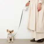 LEDロングリード5m