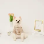 反射フラワー刺繍ハーネス+リードSET【名入れ刺繍対応】