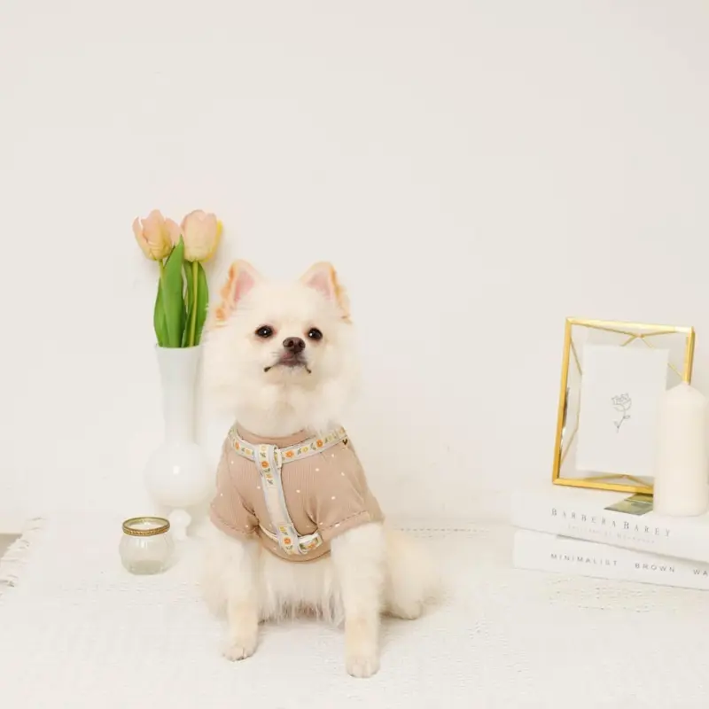 反射フラワー刺繍ハーネス+リードSET【名入れ刺繍対応】