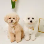 フラワーチャーム刺繍カラー+リードSET【名入れ彫刻対応】