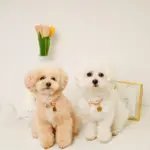 フラワーチャーム刺繍カラー+リードSET【名入れ彫刻対応】