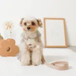 冷感フラワー刺繍ハーネス+リードSET【名入れ刺繍対応】