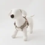 撥水バイカラーハーネス+リードSET【名入れ刺繍対応】