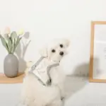 冷感マーガレット柄ハーネス+リードSET【名入れ刺繍対応】【保冷剤付き】