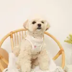 リンゴ柄刺繍ハーネス+リードSET【名入れ刺繍対応】