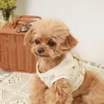 リンゴ柄刺繍ハーネス+リードSET【名入れ刺繍対応】