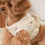 リンゴ柄刺繍ハーネス+リードSET【名入れ刺繍対応】