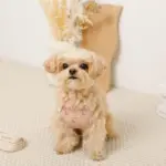 さくらんぼ刺繍ハーネス+リードSET【名入れ刺繍対応】