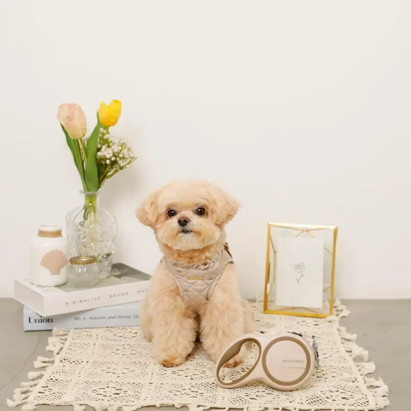 おさんぽロングリード5m