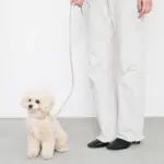 バイカラーレザーリード