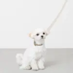 シュリンクレザーコットンライクリード