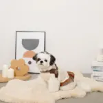 ソフトメッシュハーネス